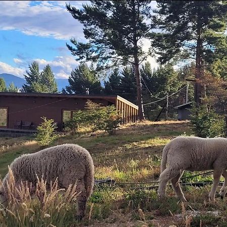 Turismo Y Cabanas Dragon De La Patagonia Lejlighed Cochrane Eksteriør billede