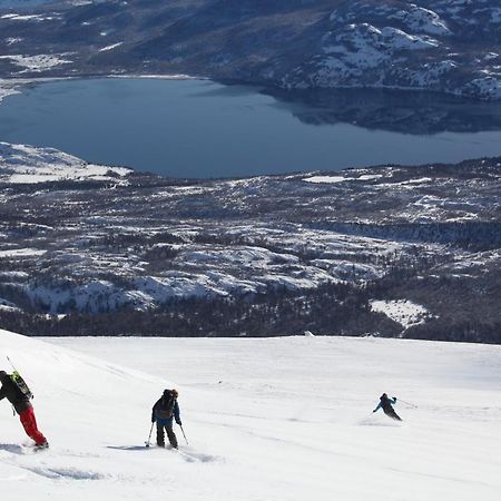 Turismo Y Cabanas Dragon De La Patagonia Lejlighed Cochrane Eksteriør billede