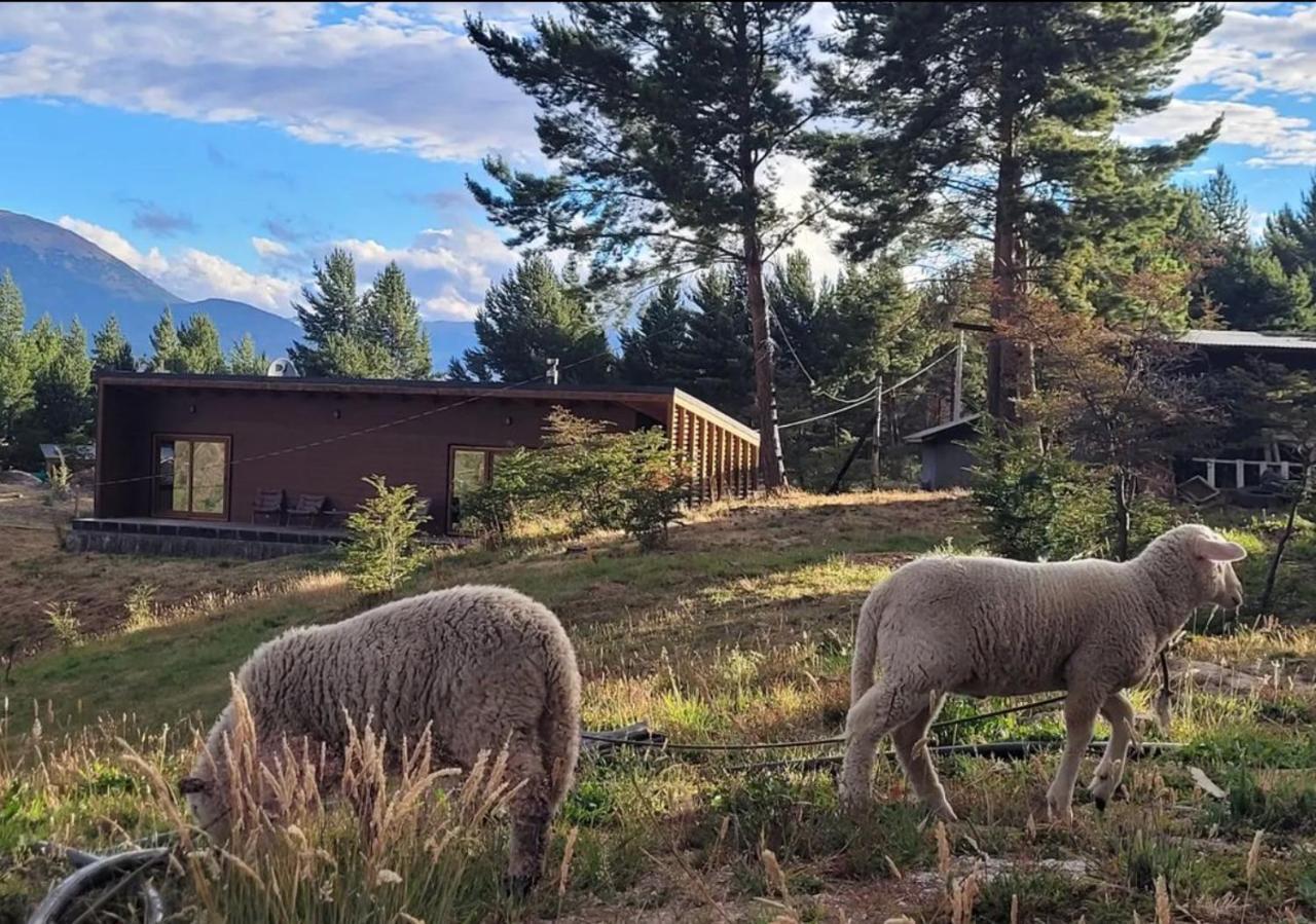 Turismo Y Cabanas Dragon De La Patagonia Cochrane Eksteriør billede